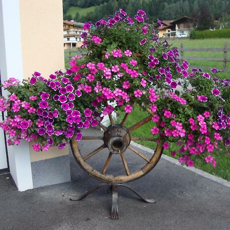 Haus Schnepfleitner Appartement Dorfgastein Buitenkant foto