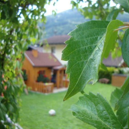 Haus Schnepfleitner Appartement Dorfgastein Buitenkant foto